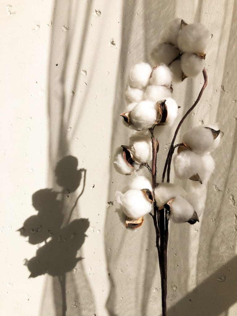 The Many Applications of Cotton