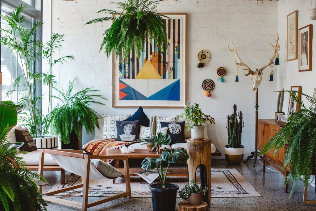 Hanging Plants and Greenery: Bring Nature Indoors